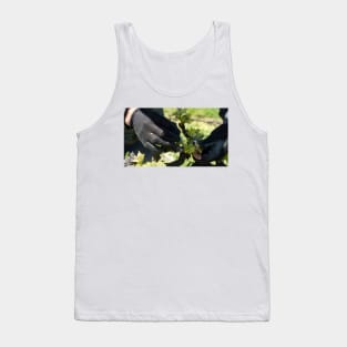 Shoot Thinning - Magpie Springs - Adelaide Hills Wine Region - Fleurieu Peninsula - South Australia Tank Top